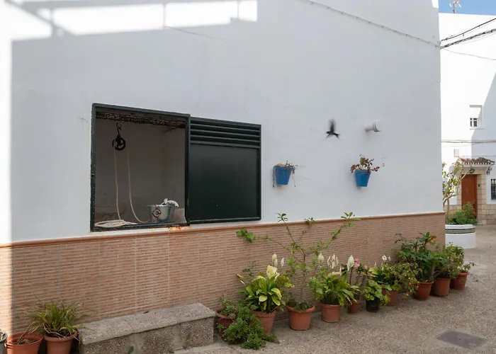 Elvira Conil de la Frontera