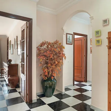 Apartment Elvira Conil De La Frontera