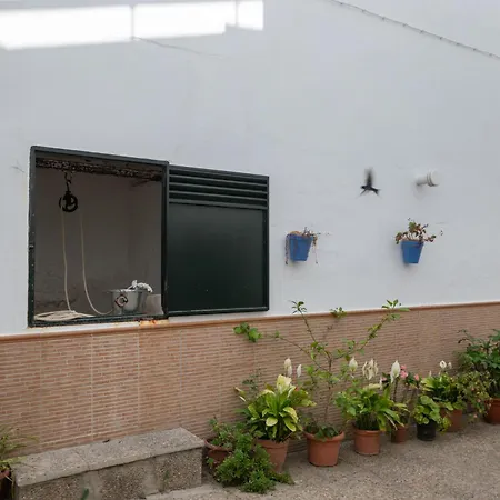 Apartman Elvira *